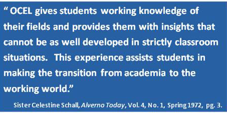 Quote about internship from Sr. Celestine Schall